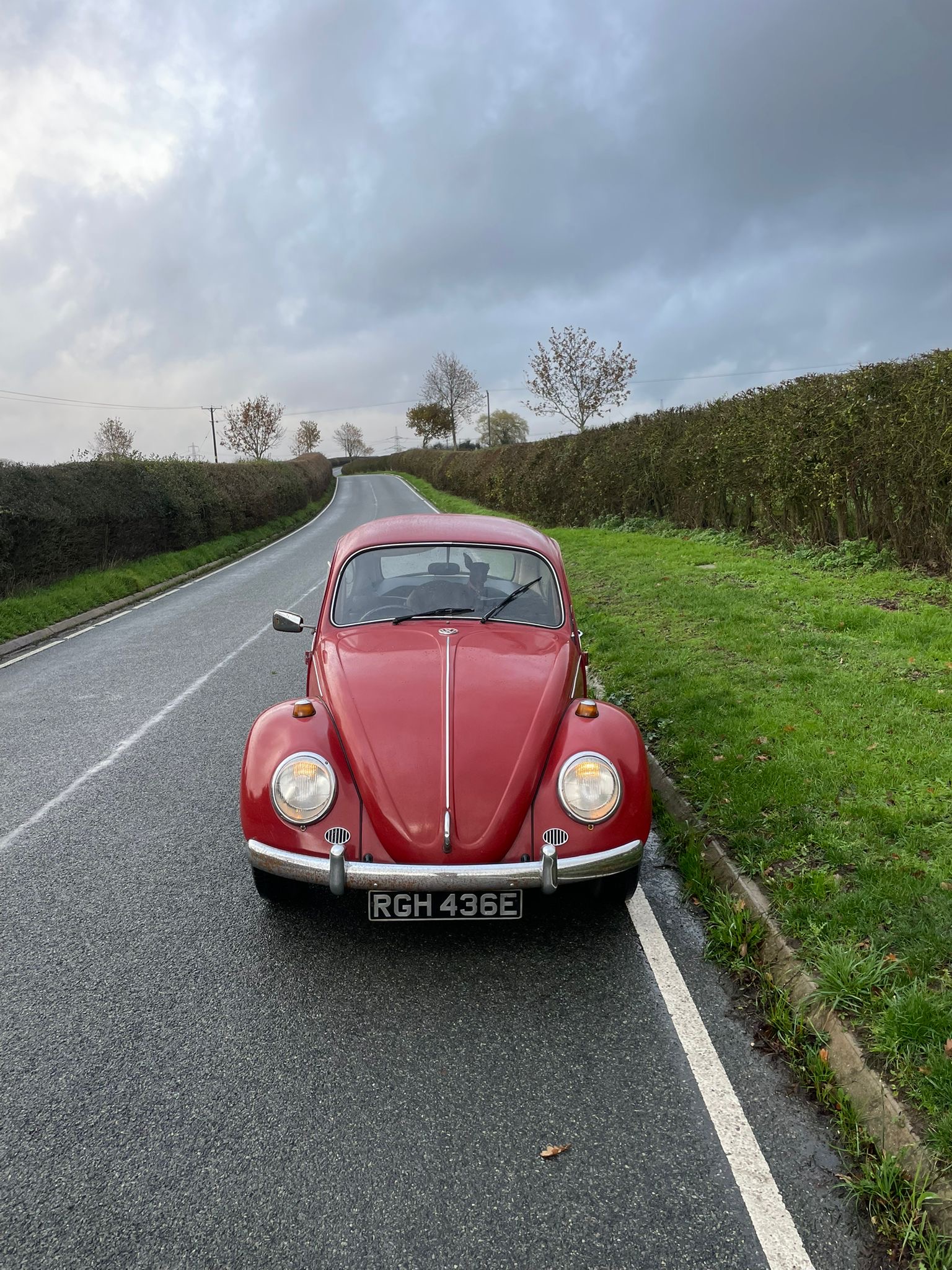 1967 Volkswagen Beetle - Image 4